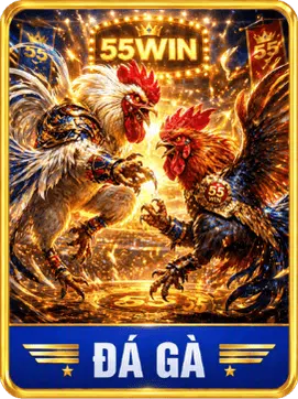 Đá gà 58WIN Đá gà 58WIN